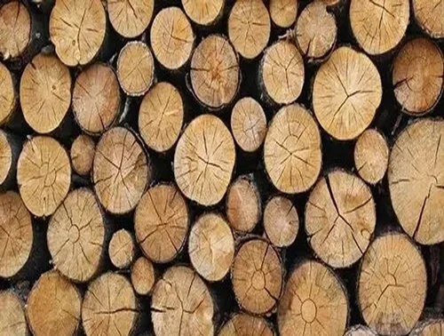 Pine Wood